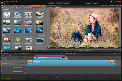 pinnacle studio|pinnacle studio free download.